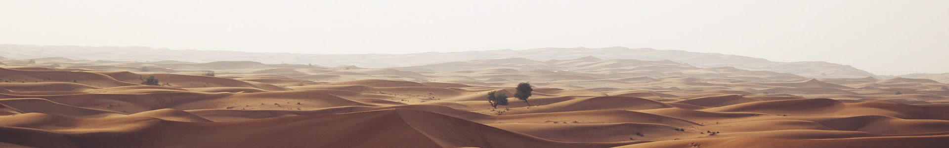 ɽƹ޹˾